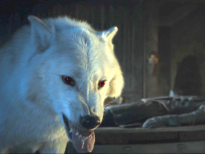 jon-snows-direwolf-may-be-more-important-than-ever